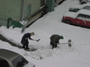 p2144762.jpg 800x600 167K