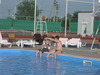 p7146984.jpg 800x600 177K