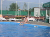 p7146994.jpg 800x600 179K