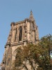 img_7984.jpg 600x800 193K
