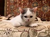 IMG_20181204_001605.jpg 1440x1080 482K