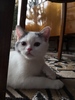 IMG_20190107_134602.jpg 3840x5120 4359K