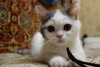 dsc06780.jpg 5472x3648 5652K