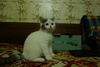 dsc06750.jpg 1620x1080 446K