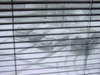 pc036203.jpg 800x600 147K