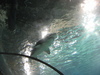 IMG_2716.jpg 800x600 288K
