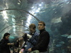 IMG_2724.jpg 800x600 286K