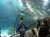 IMG_2725.jpg 800x600 289K