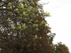 IMG_0283.JPG 3072x2304 3725K