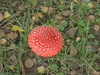 pa034420.jpg 800x600 197K