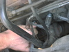 pa074455.jpg 800x600 168K
